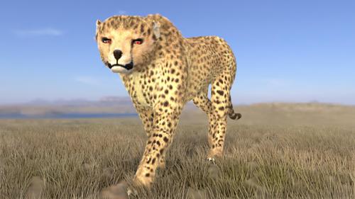 Cheetah preview image